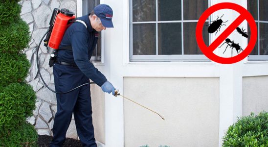 Çamardı Akrep İlaçlama böcek ilaçlama ve haşere kontrolü — ilaclama-tr.com